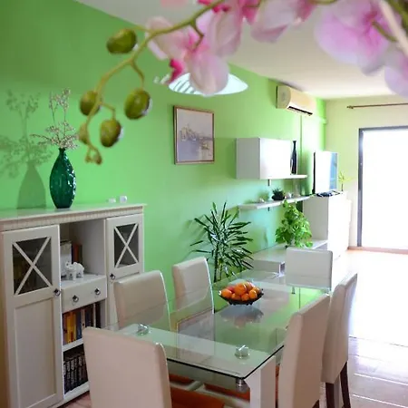 Apartment Vodanovic *