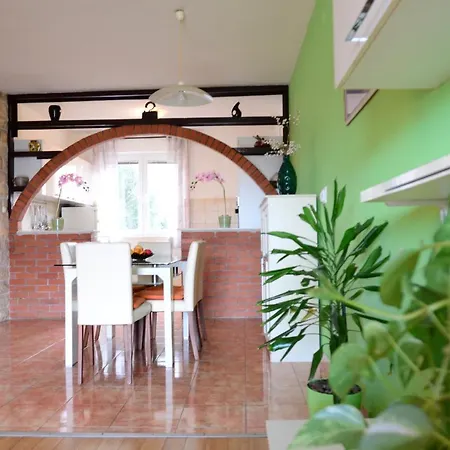 Apartment Vodanovic *
