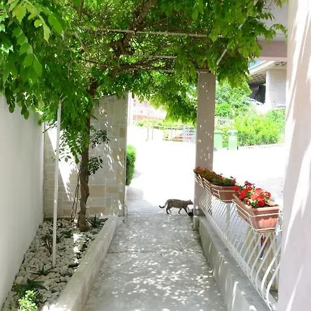Apartment Vodanovic *