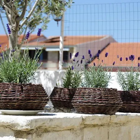 Vodanovic Podgora (Split-Dalmatia)