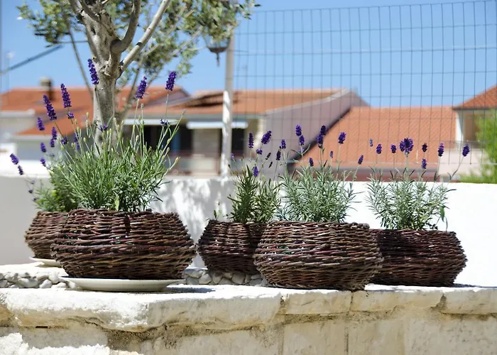 Vodanovic Podgora (Split-Dalmatia)